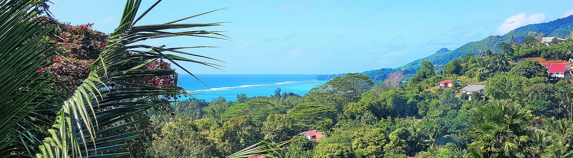 Maison Oasis Reef Estate Anse aux Pins Extérieur photo